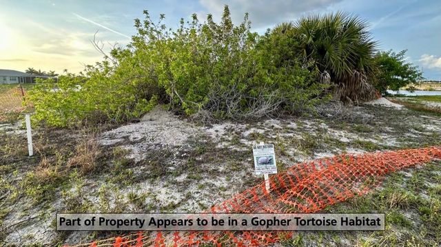 3233 NW 9TH STREET, Cape Coral, FL 33993