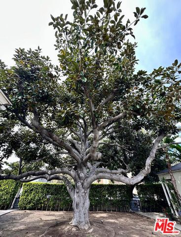 1430 Ocean Park Boulevard, Santa Monica, CA 90405