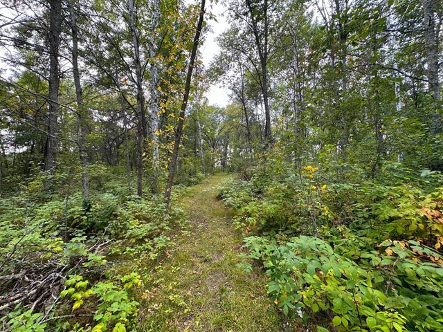 12463 30th Street, Daggett Brook Twp, MN 56401