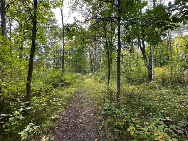 12463 30th Street, Daggett Brook Twp, MN 56401