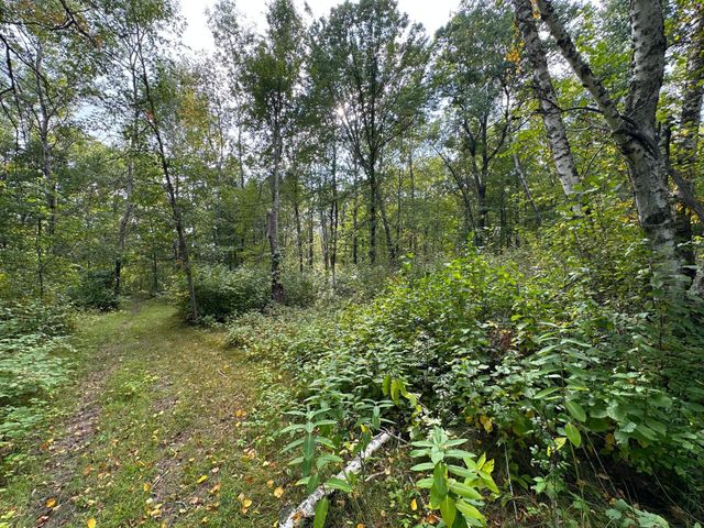 12463 30th Street, Daggett Brook Twp, MN 56401