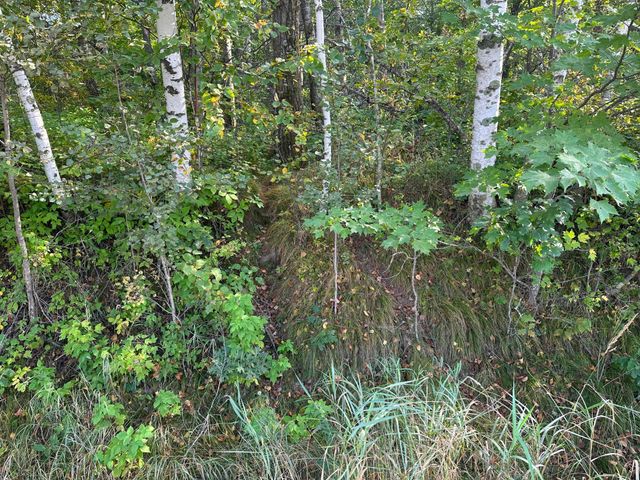 12463 30th Street, Daggett Brook Twp, MN 56401