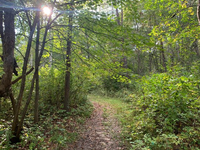 12463 30th Street, Daggett Brook Twp, MN 56401