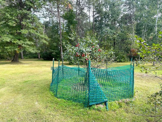 12463 30th Street, Daggett Brook Twp, MN 56401