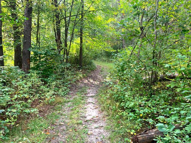 12463 30th Street, Daggett Brook Twp, MN 56401