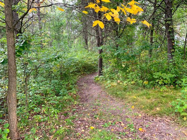 12463 30th Street, Daggett Brook Twp, MN 56401