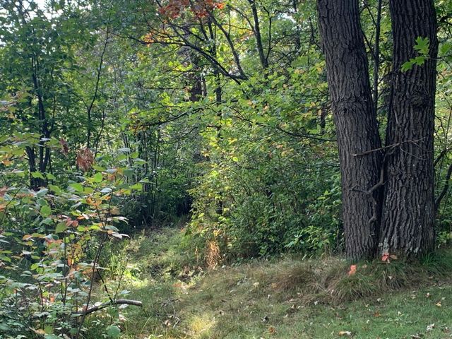 12463 30th Street, Daggett Brook Twp, MN 56401