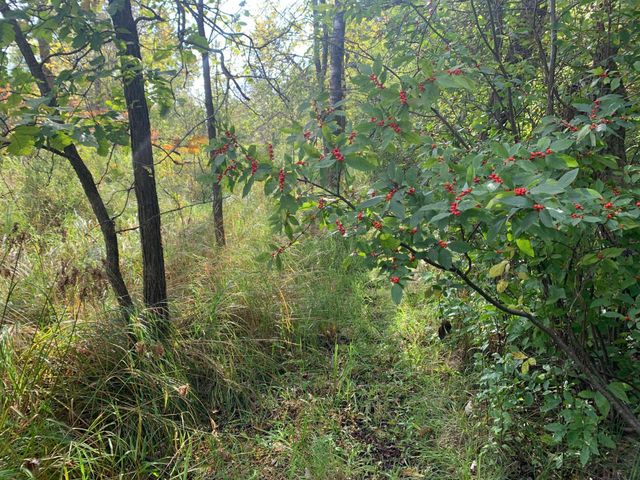 12463 30th Street, Daggett Brook Twp, MN 56401