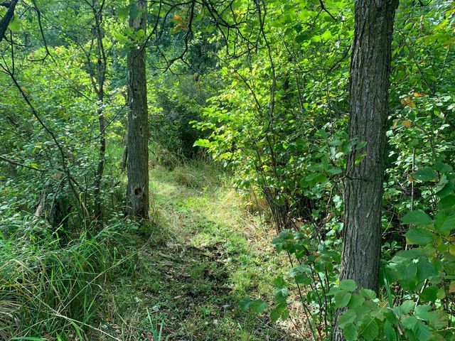 12463 30th Street, Daggett Brook Twp, MN 56401