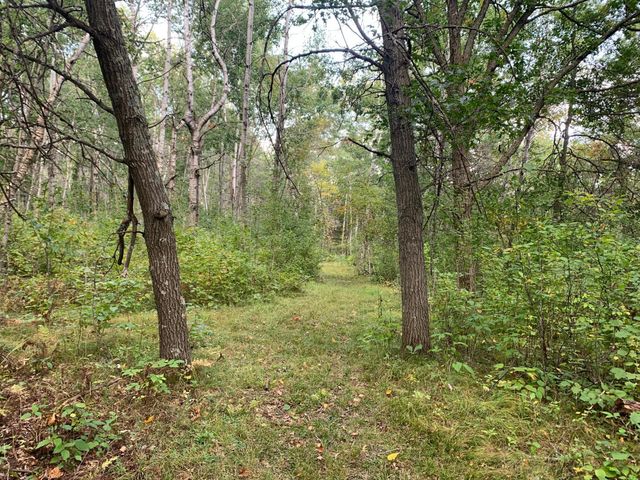 12463 30th Street, Daggett Brook Twp, MN 56401