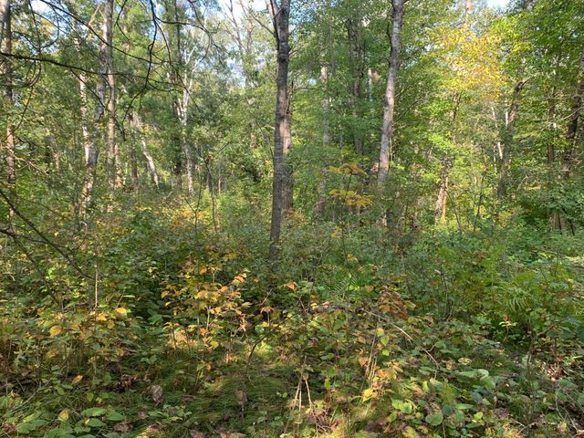 12463 30th Street, Daggett Brook Twp, MN 56401