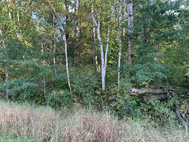 12463 30th Street, Daggett Brook Twp, MN 56401