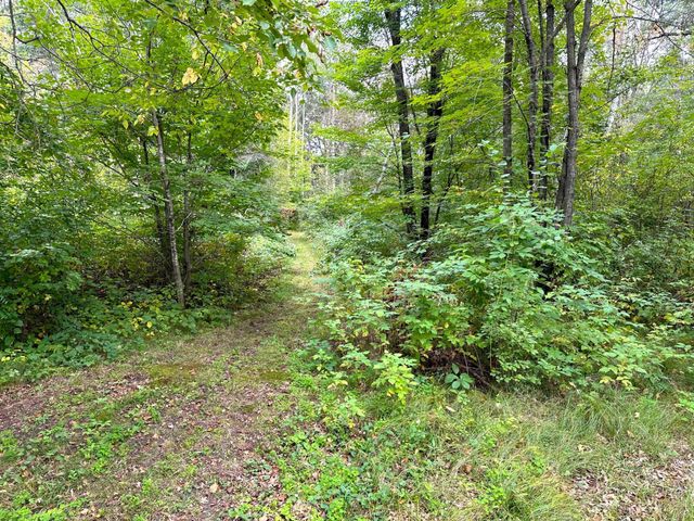 12463 30th Street, Daggett Brook Twp, MN 56401