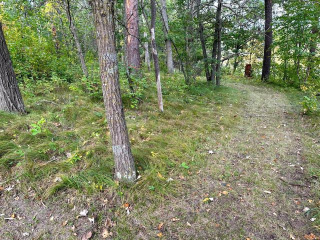 12463 30th Street, Daggett Brook Twp, MN 56401