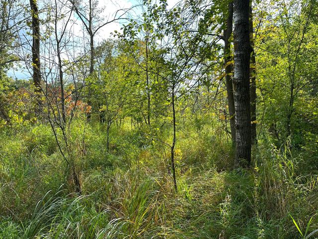 12463 30th Street, Daggett Brook Twp, MN 56401