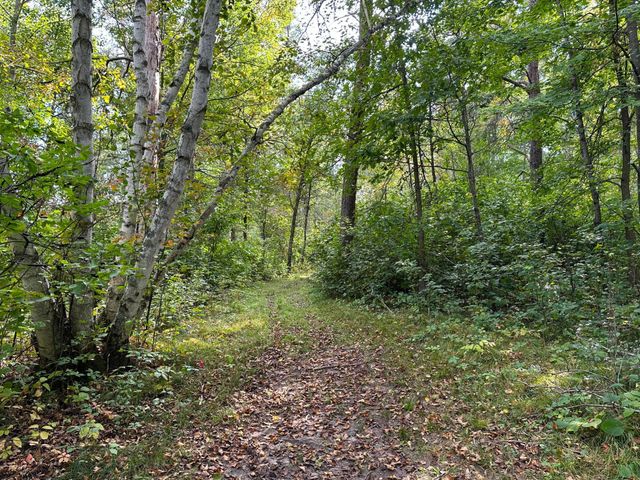 12463 30th Street, Daggett Brook Twp, MN 56401