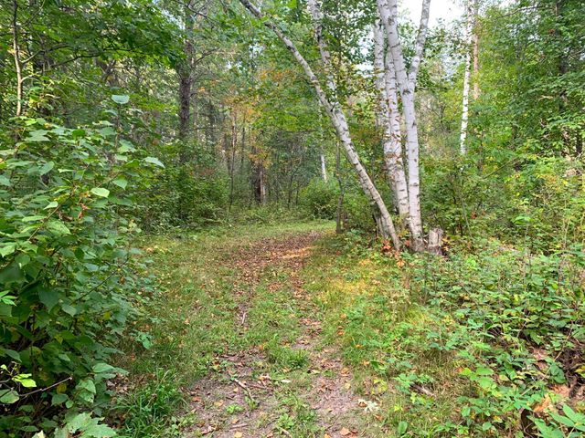 12463 30th Street, Daggett Brook Twp, MN 56401