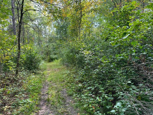 12463 30th Street, Daggett Brook Twp, MN 56401