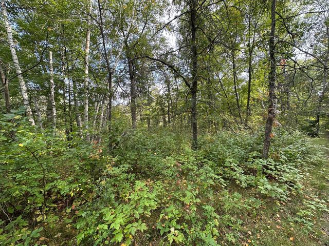 12463 30th Street, Daggett Brook Twp, MN 56401