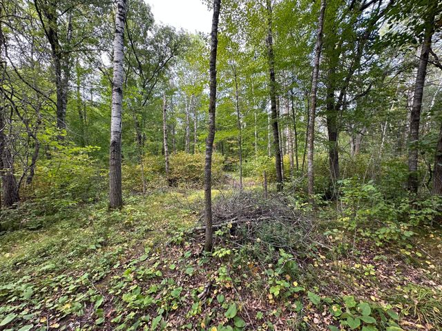 12463 30th Street, Daggett Brook Twp, MN 56401