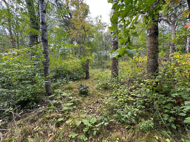 12463 30th Street, Daggett Brook Twp, MN 56401