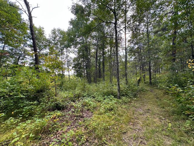 12463 30th Street, Daggett Brook Twp, MN 56401