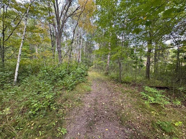 12463 30th Street, Daggett Brook Twp, MN 56401