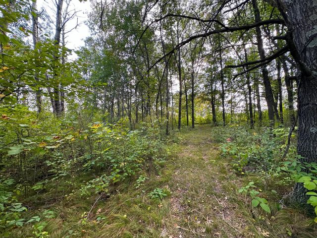 12463 30th Street, Daggett Brook Twp, MN 56401