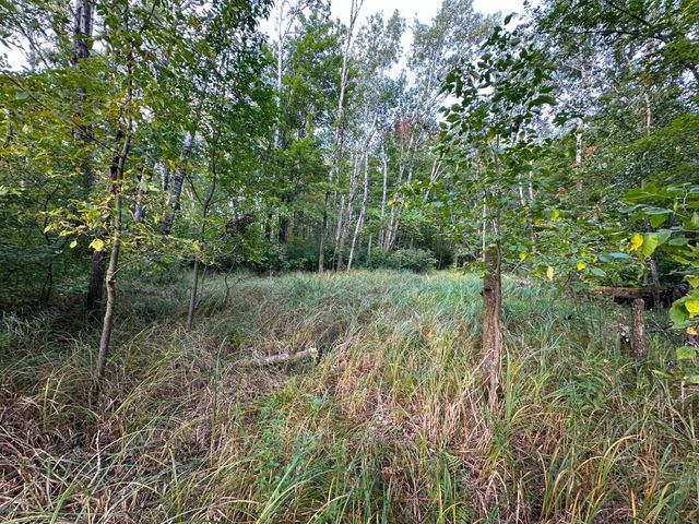 12463 30th Street, Daggett Brook Twp, MN 56401