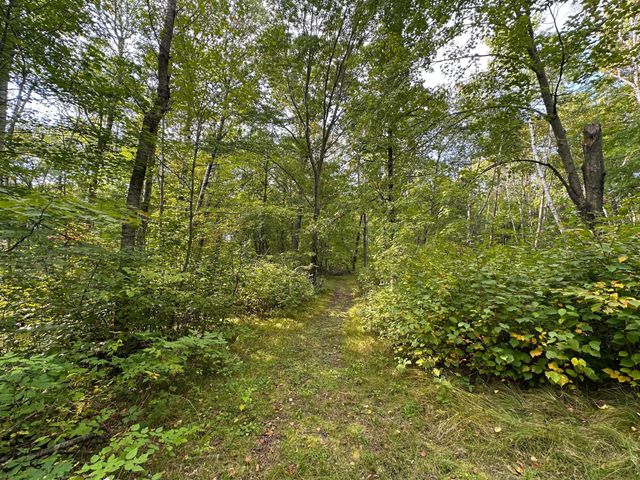 12463 30th Street, Daggett Brook Twp, MN 56401