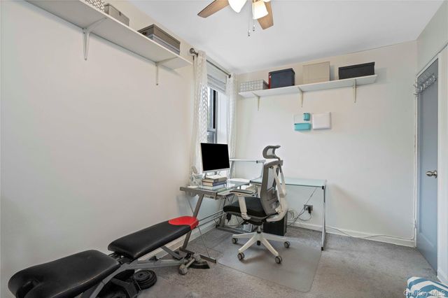 2271 Knapp Street 5D, Brooklyn, NY 11229