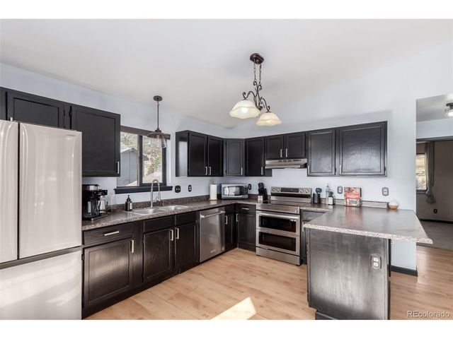 121 Sunlight Ln, Bailey, CO 80421