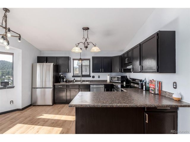 121 Sunlight Ln, Bailey, CO 80421