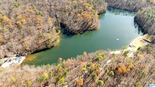 713 SOUTH OLMSTED STREET, Birmingham, AL 35242