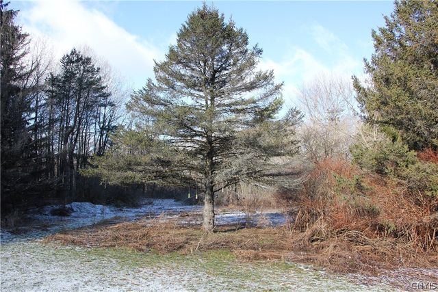 2841 Johnnycake Hill Road, Madison, NY 13346