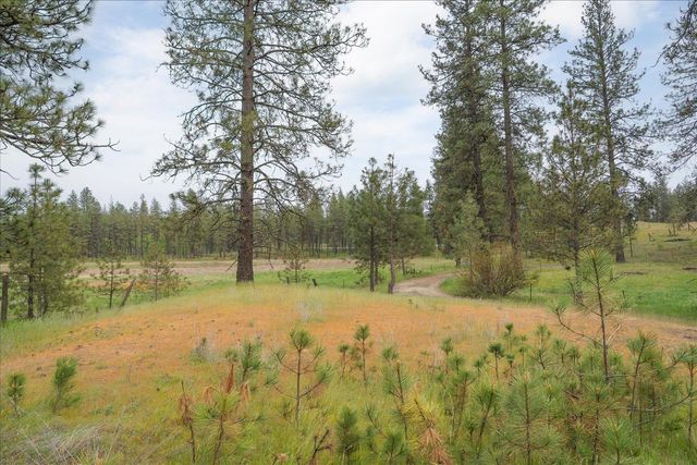 6108 W Depot Springs Rd, Cheney, WA 99004