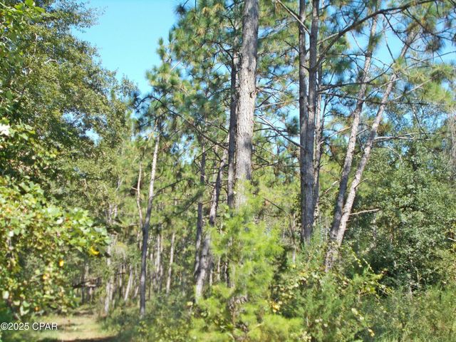 702 Moonseed Lane, Chipley, FL 32428