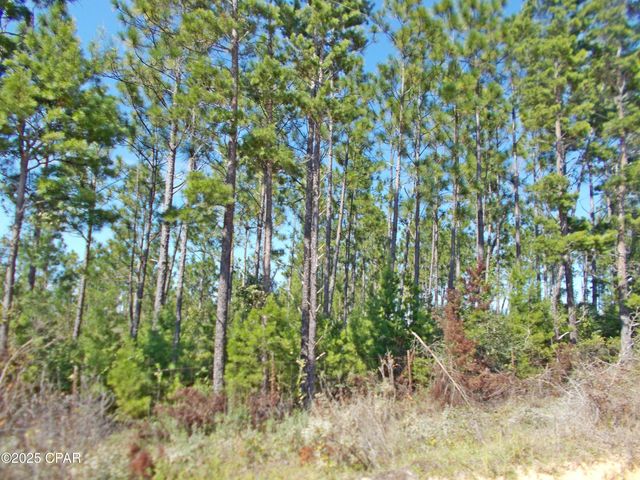 702 Moonseed Lane, Chipley, FL 32428