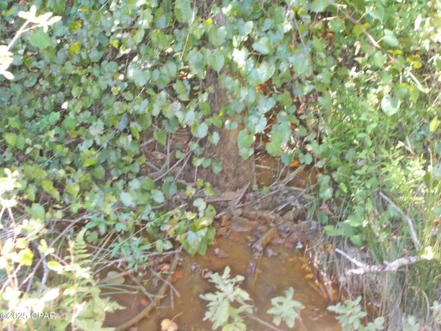 702 Moonseed Lane, Chipley, FL 32428