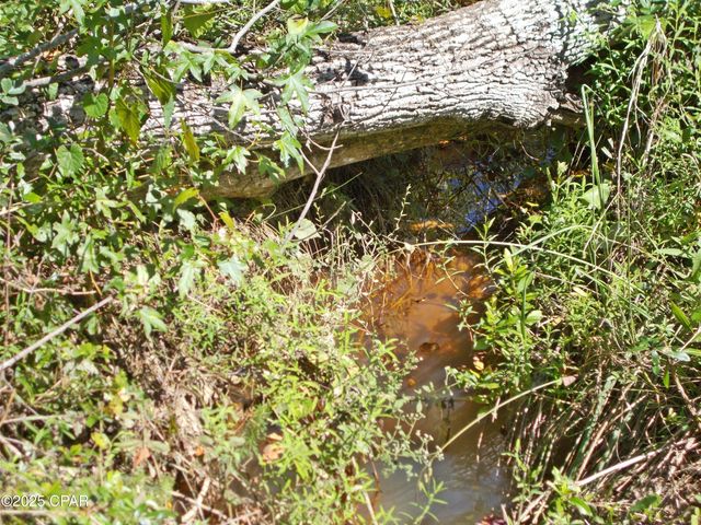 702 Moonseed Lane, Chipley, FL 32428