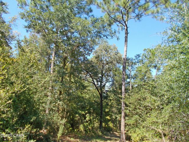 702 Moonseed Lane, Chipley, FL 32428