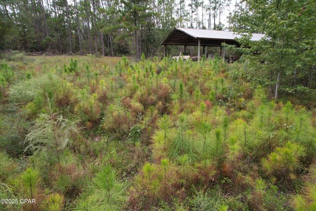 702 Moonseed Lane, Chipley, FL 32428