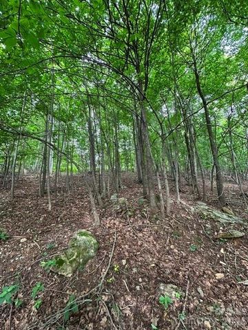 0 Cove Gap Road 1, Moravian Falls, NC 28654