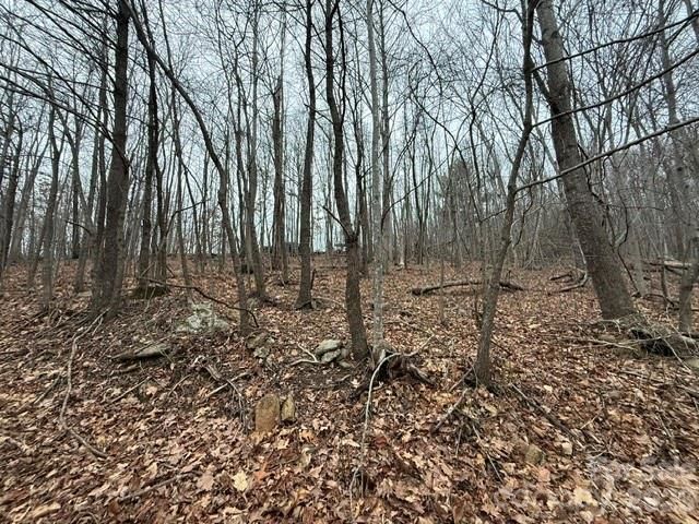 0 Cove Gap Road 1, Moravian Falls, NC 28654
