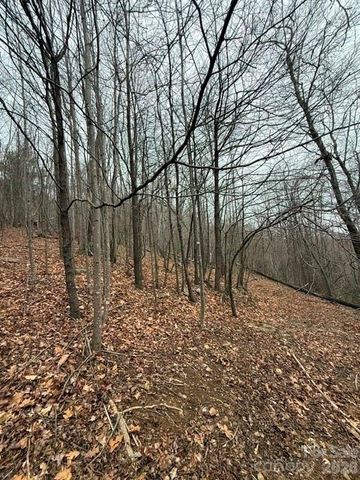 0 Cove Gap Road 1, Moravian Falls, NC 28654