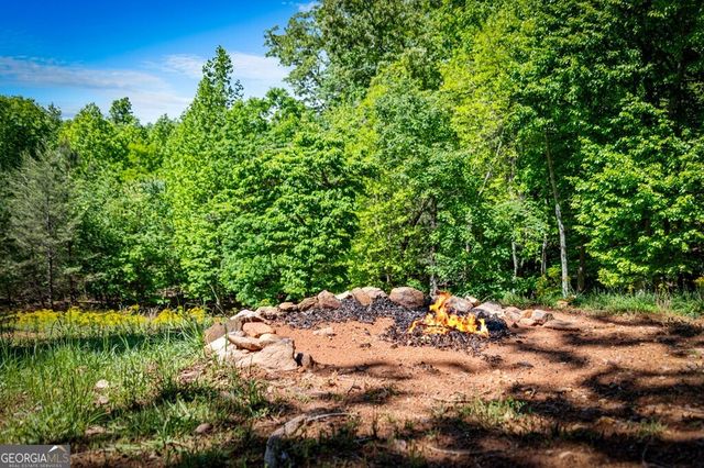 479 Big Timber Road, Mineral Bluff, GA 30559