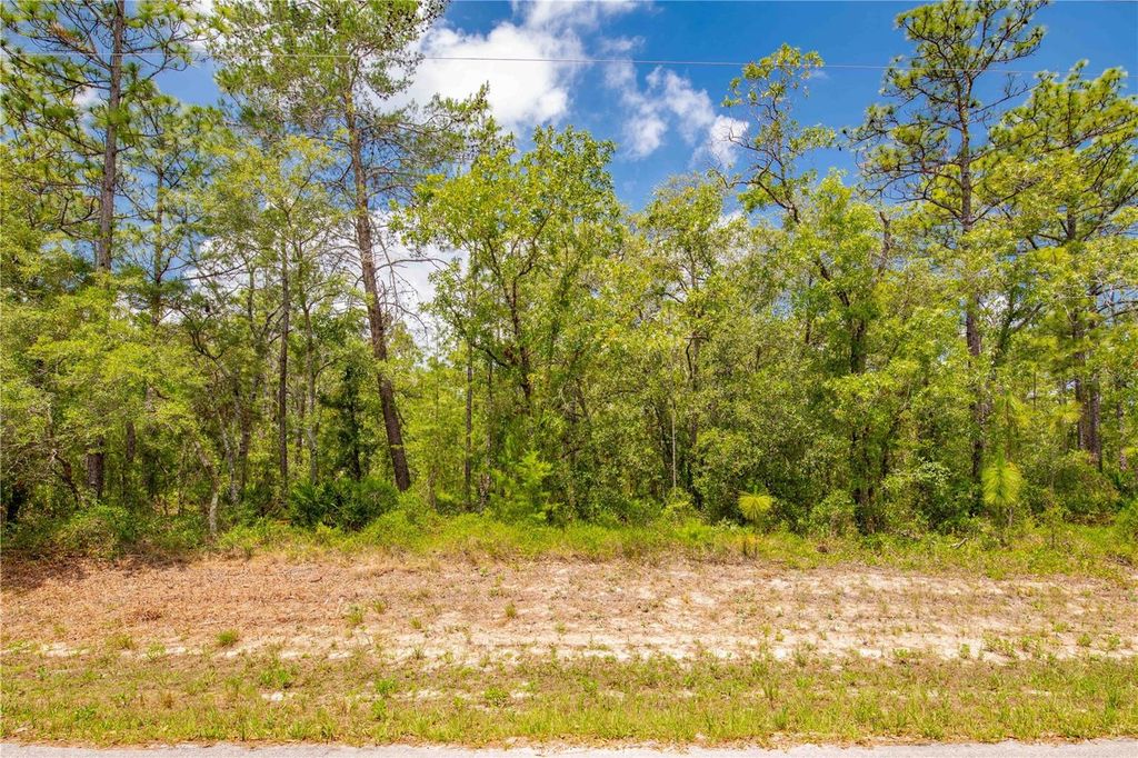 0 MOUNT SPARROW ROAD, Weeki Wachee, FL 34614