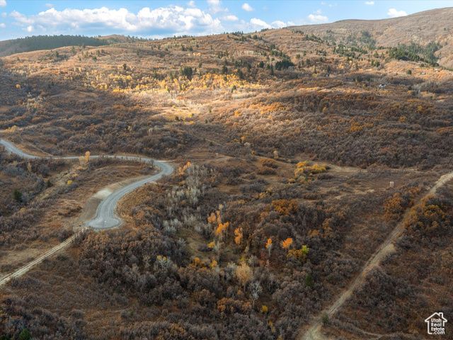 1993 N Shamy Way 30, Eden, UT 84310