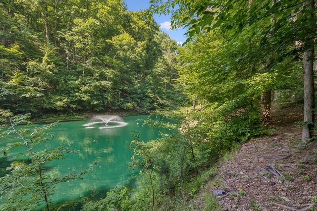 4574 Hampshire Pike, Hampshire, TN 38461