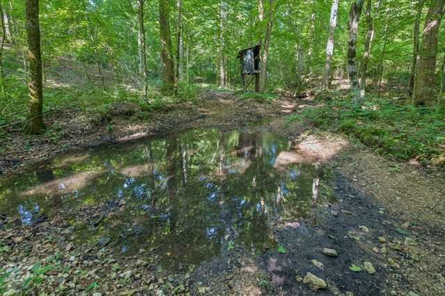 4574 Hampshire Pike, Hampshire, TN 38461